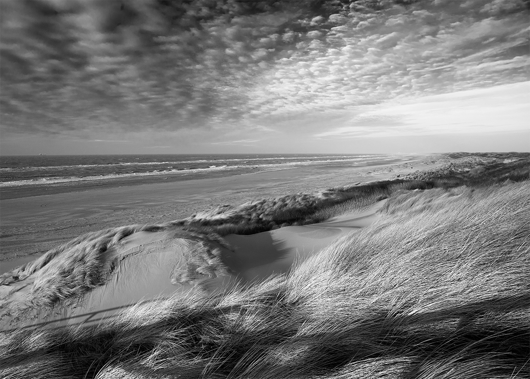 Het weer was zo slecht, dat zelfs de meeuwen geen zin hadden om te vliegen!